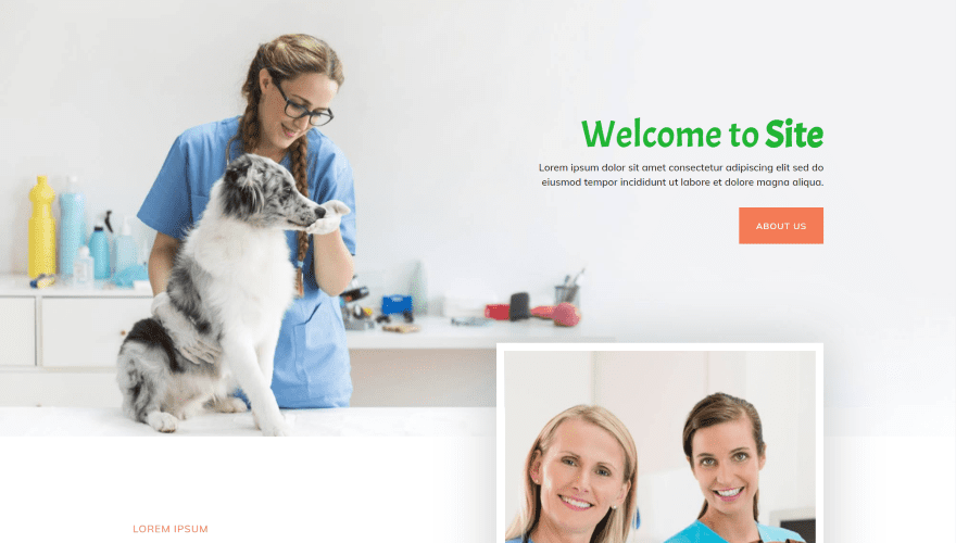 9 Divi Layouts for Veterinarian Websites 3