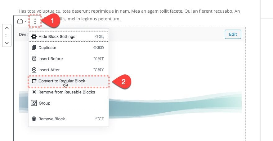 reusable divi layout block