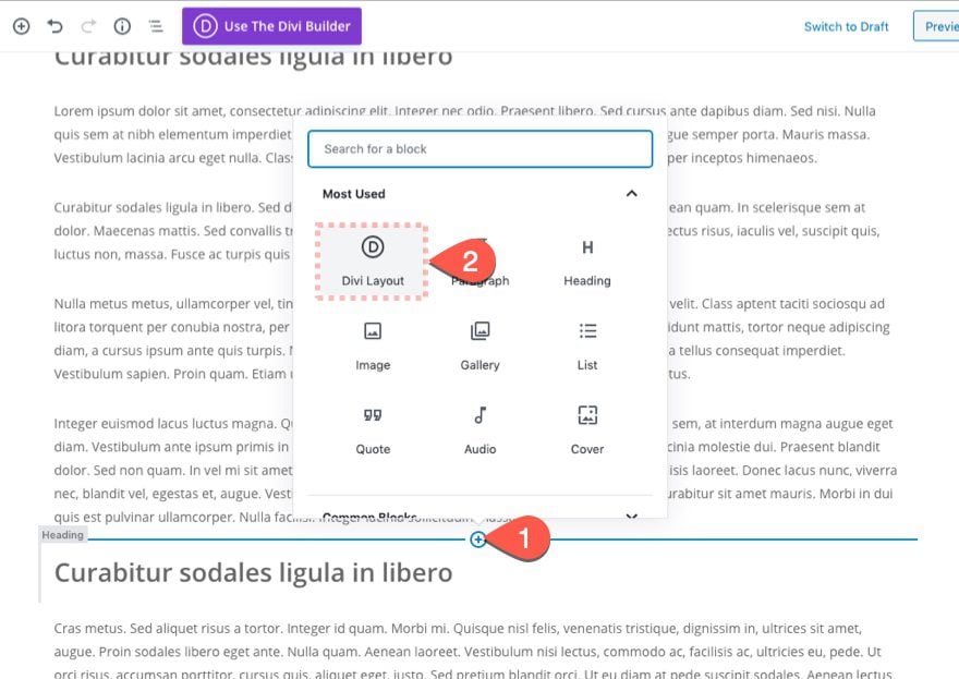 Gutenberg Divi Email Optin