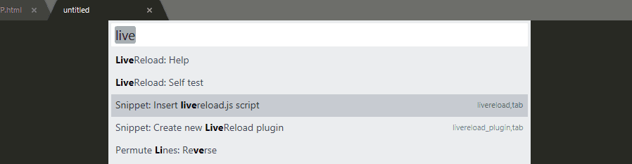 Adding the LiveReload script to one of your files.