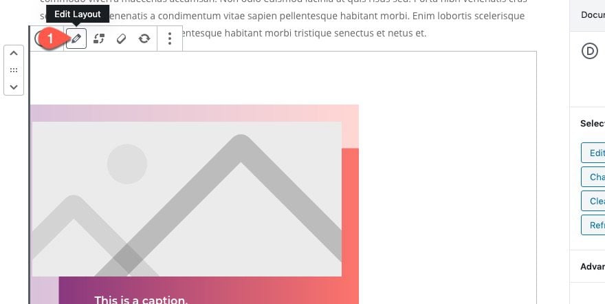 How to Build Reusable Image Layout Blocks for Adding Divi-Styled Images to Gutenberg Posts 28