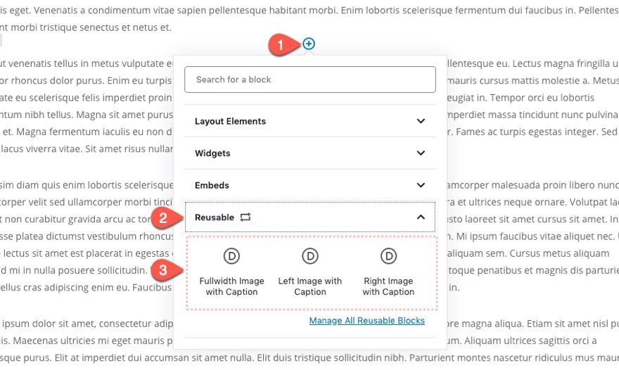 How to Build Reusable Image Layout Blocks for Adding Divi-Styled Images to Gutenberg Posts 33