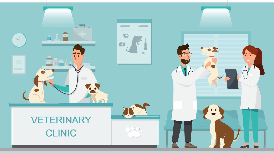 9 Divi Layouts for Veterinarian Websites