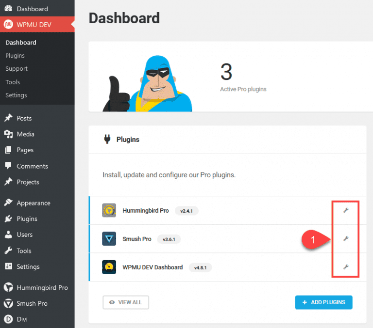 Case Study: Divi with WP Smush and Hummingbird