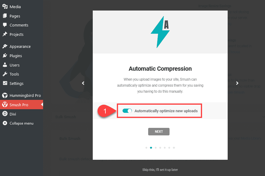 WPMU DEV Optimization Plugins