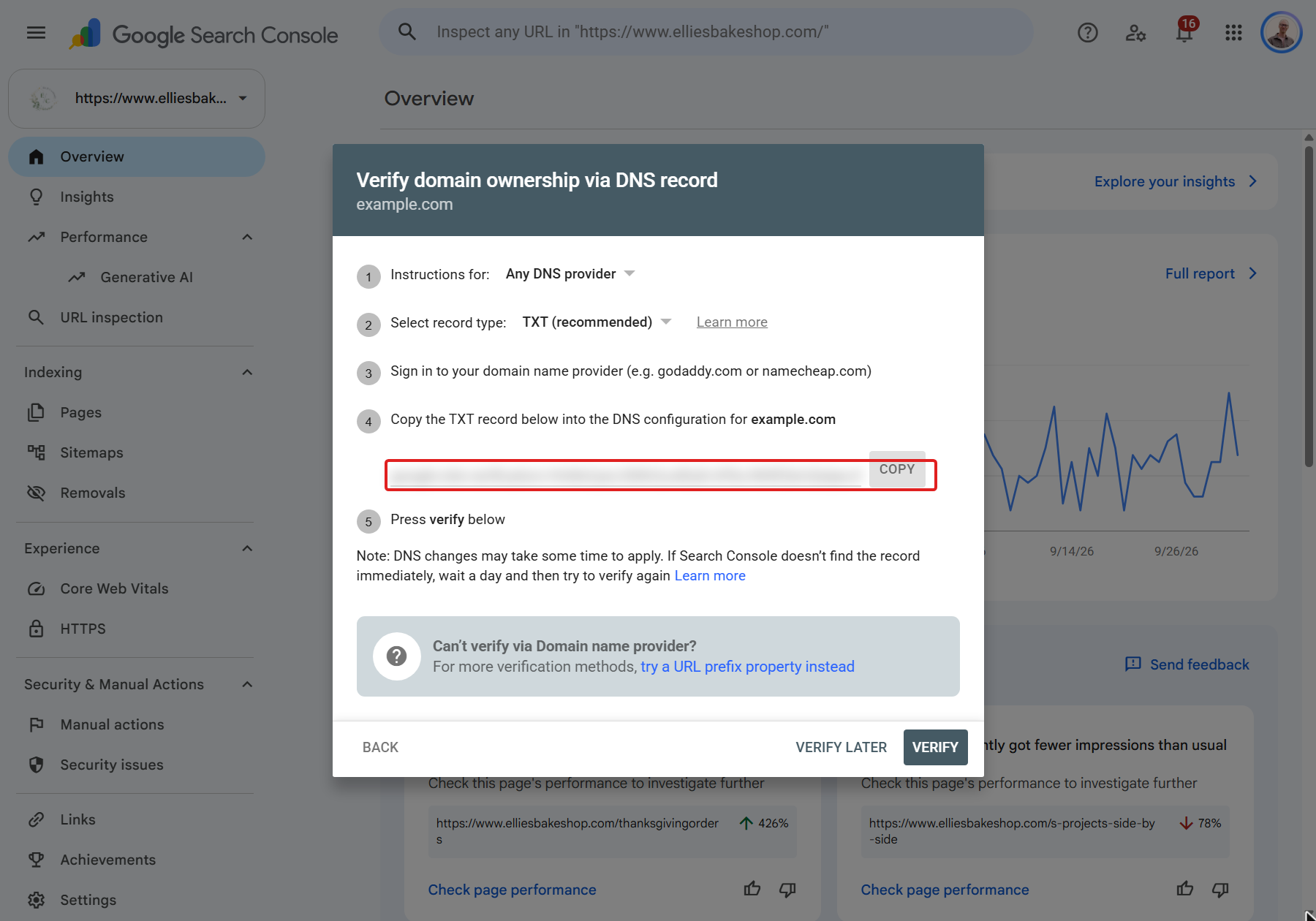 DNS record verification step with the TXT value hidden