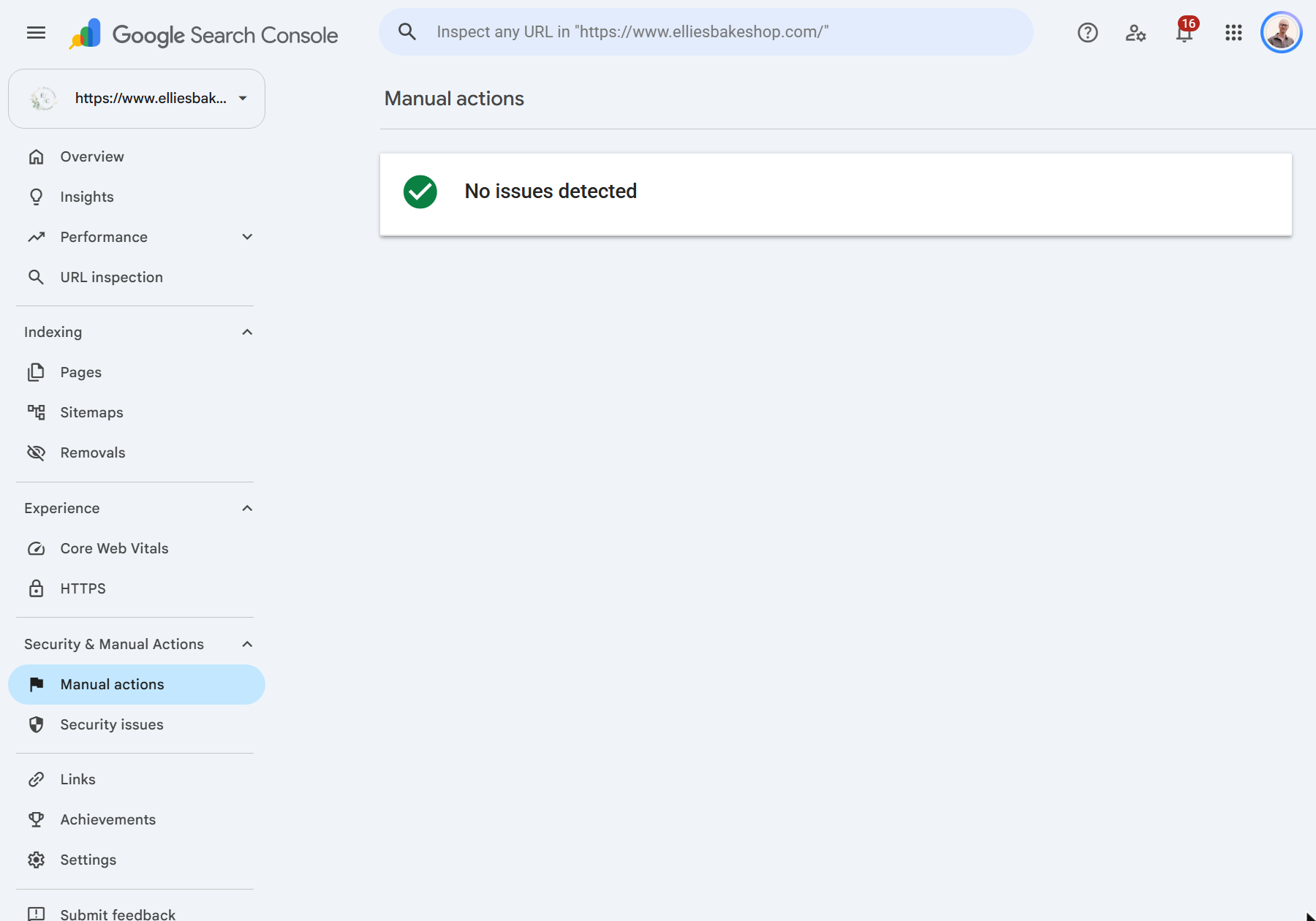 Manual actions and Security issues reports with no issues detected - Manual actions