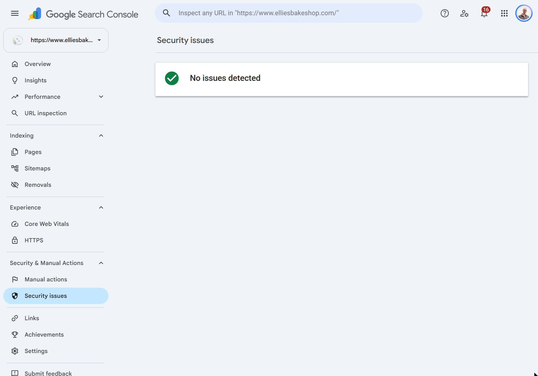 Manual actions and Security issues reports with no issues detected - Security issues