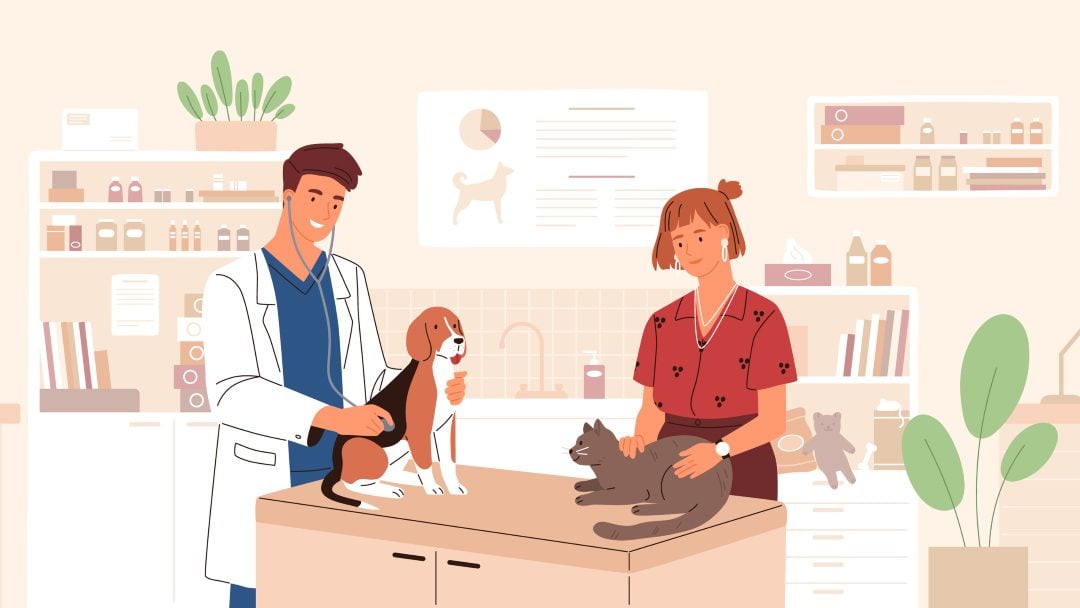 5 Divi Child Themes for Veterinarians