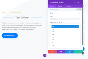 Divi Plugin Highlight: Divi Next Texts