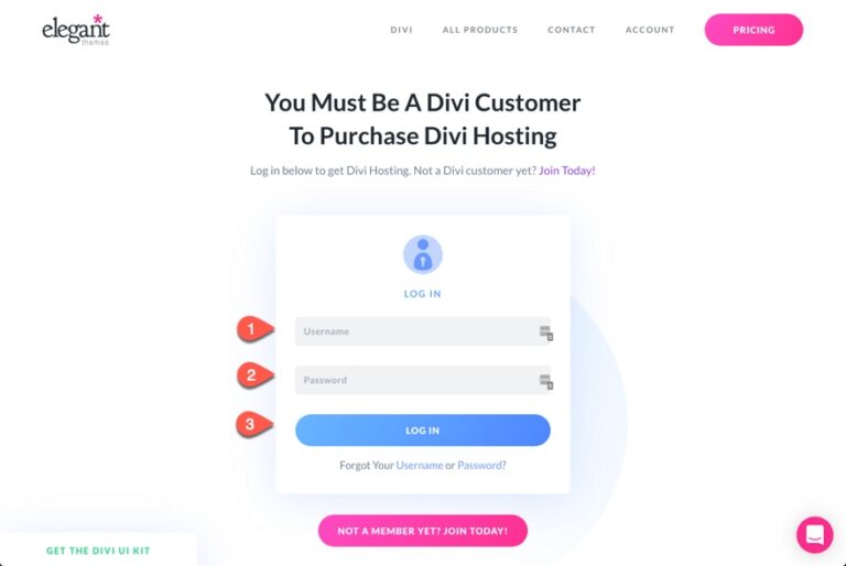 Divi Hosting with Flywheel WordPress Hosting Thoughtfully Built for