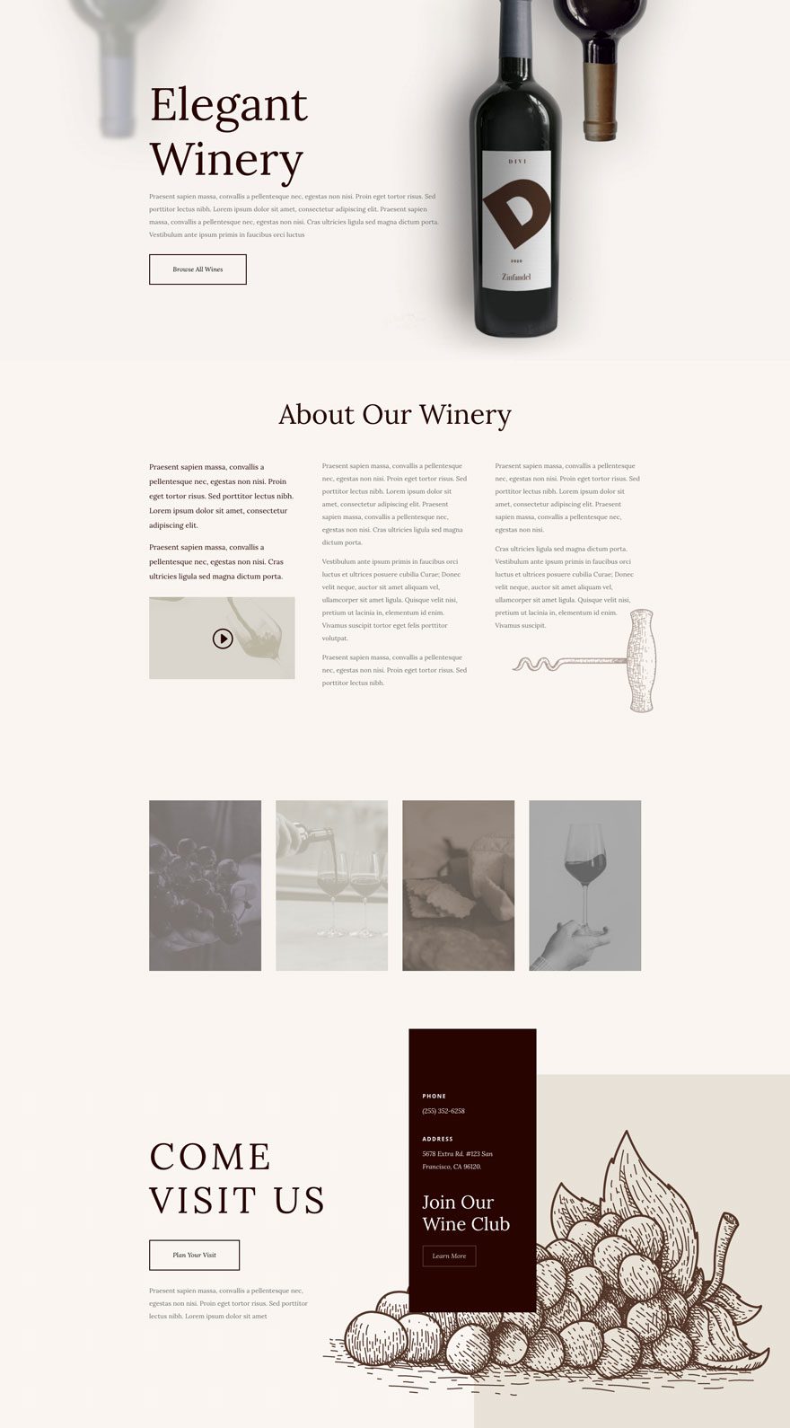 divi winery layout pack