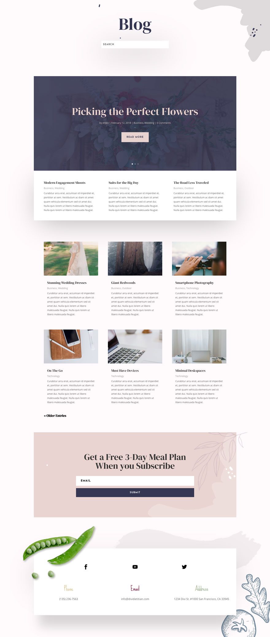 divi dietitian layout pack