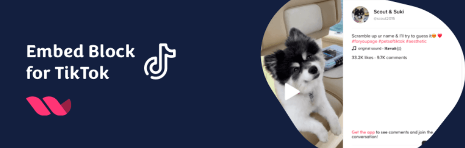 The Embed Block for TikTok plugin.