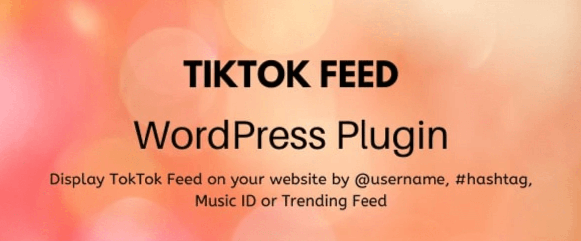 The TikTok WordPress Plugin.