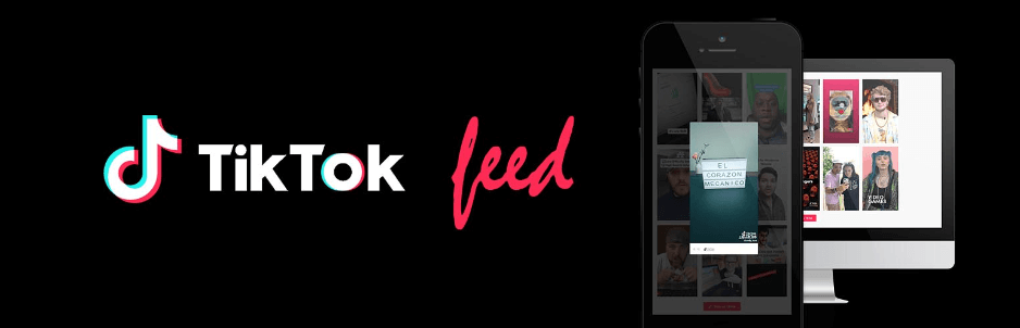 The WP TikTok Feed plugin.