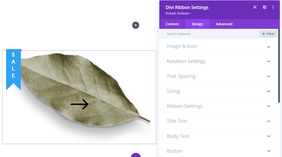 Divi Ribbon Design Tab