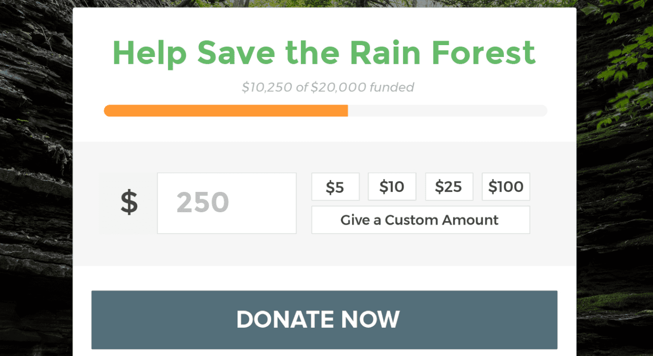 An example online donation.