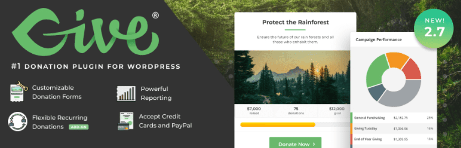 The GiveWP plugin.