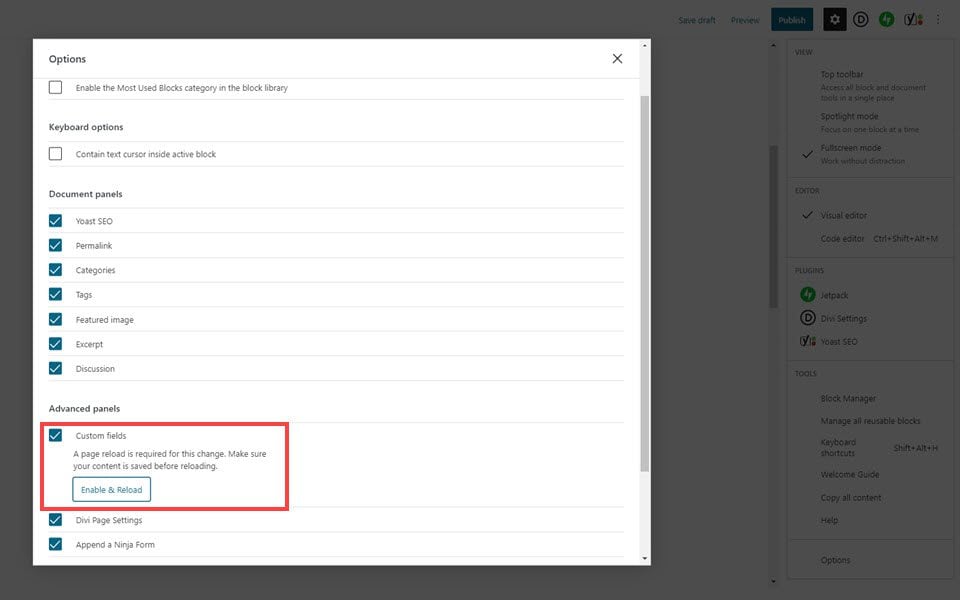 WordPress Custom Fields