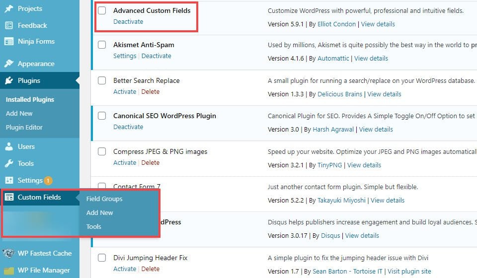 WordPress Custom Fields