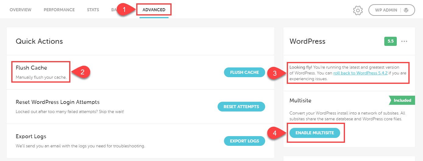 Flywheel Hosting