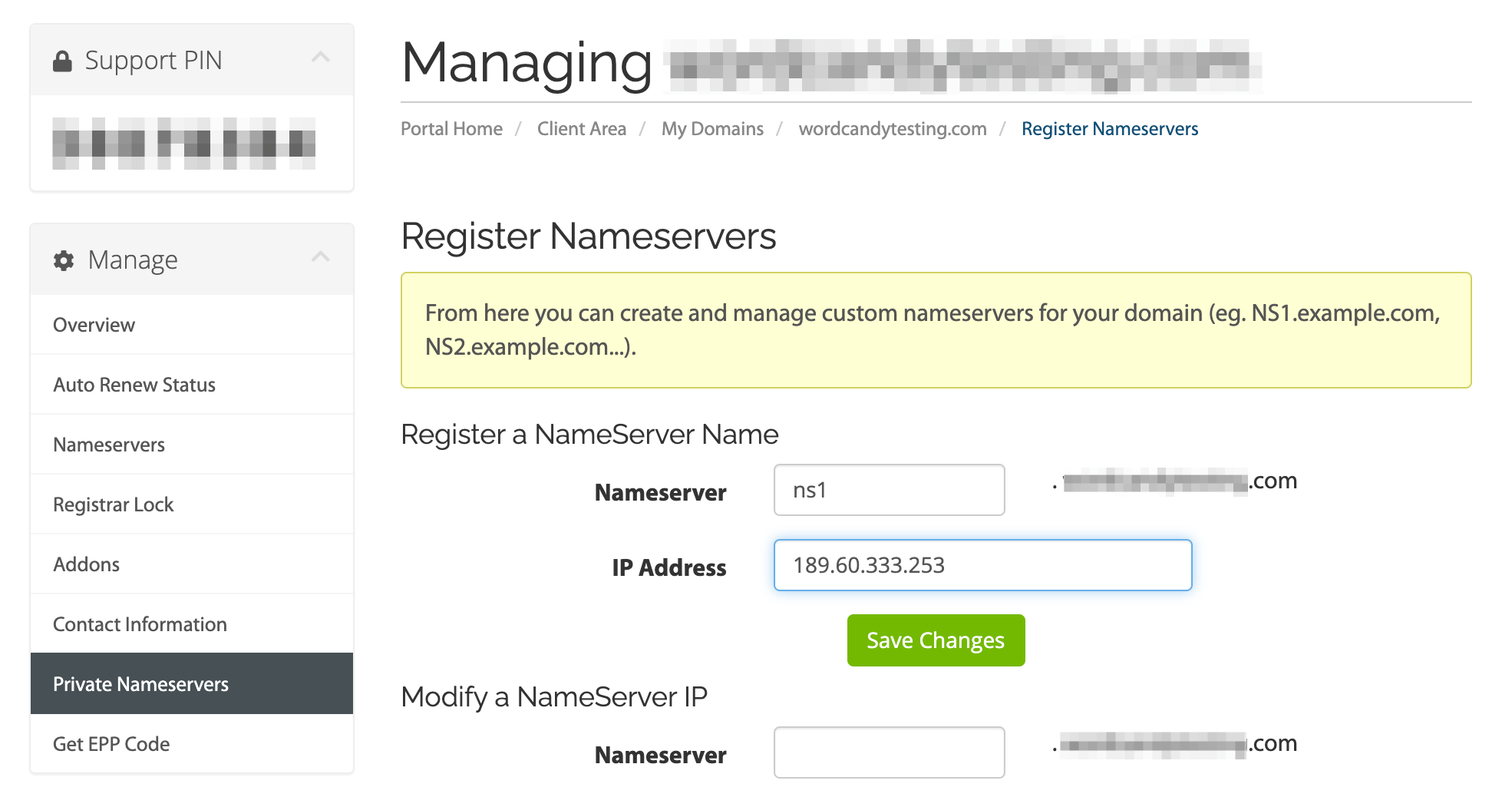 Adding a new nameserver.