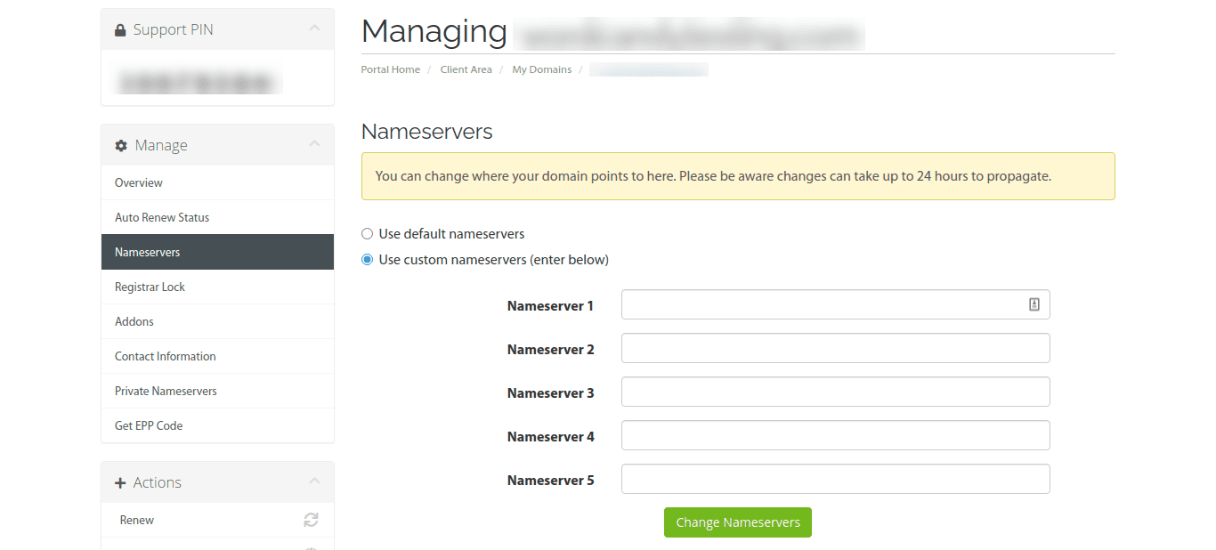 Entering new nameservers in the DNS settings.