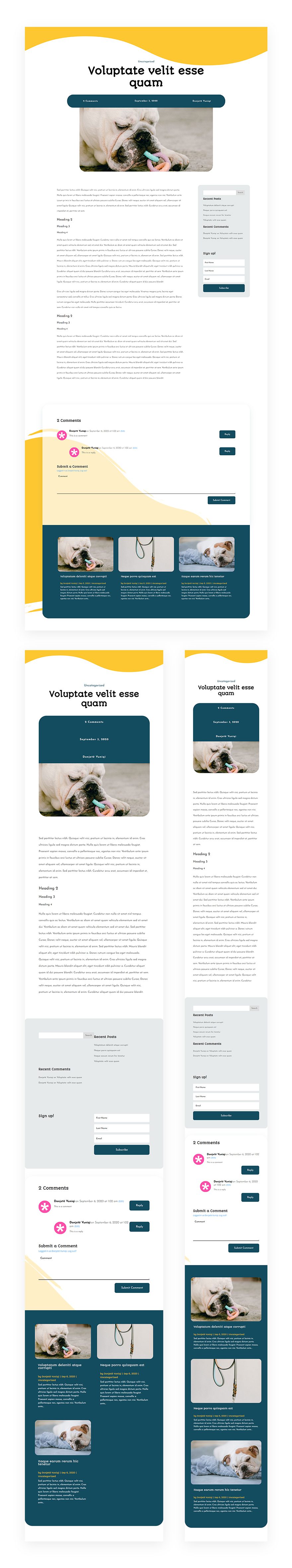 pet supply blog post template