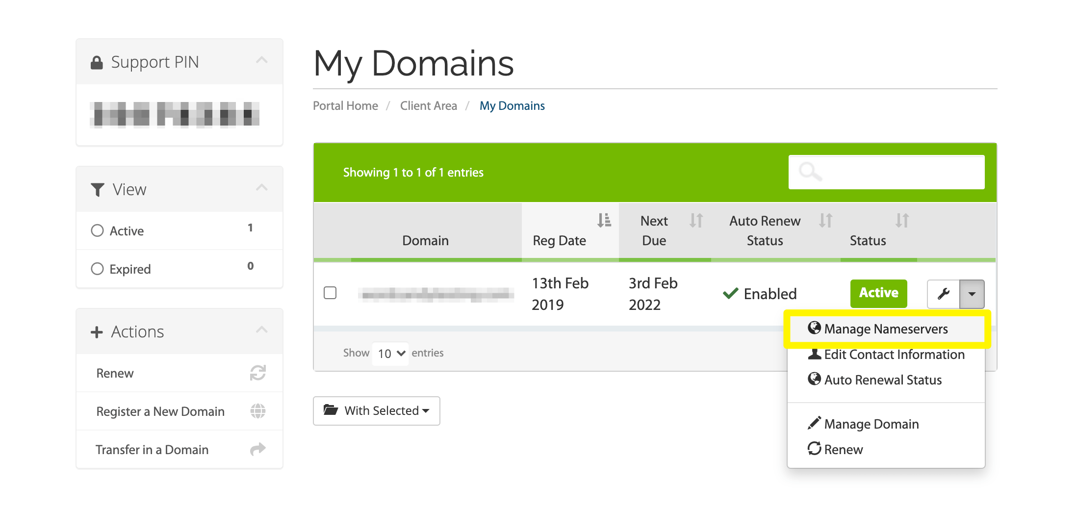 Accessing nameserver information via a hosting account.