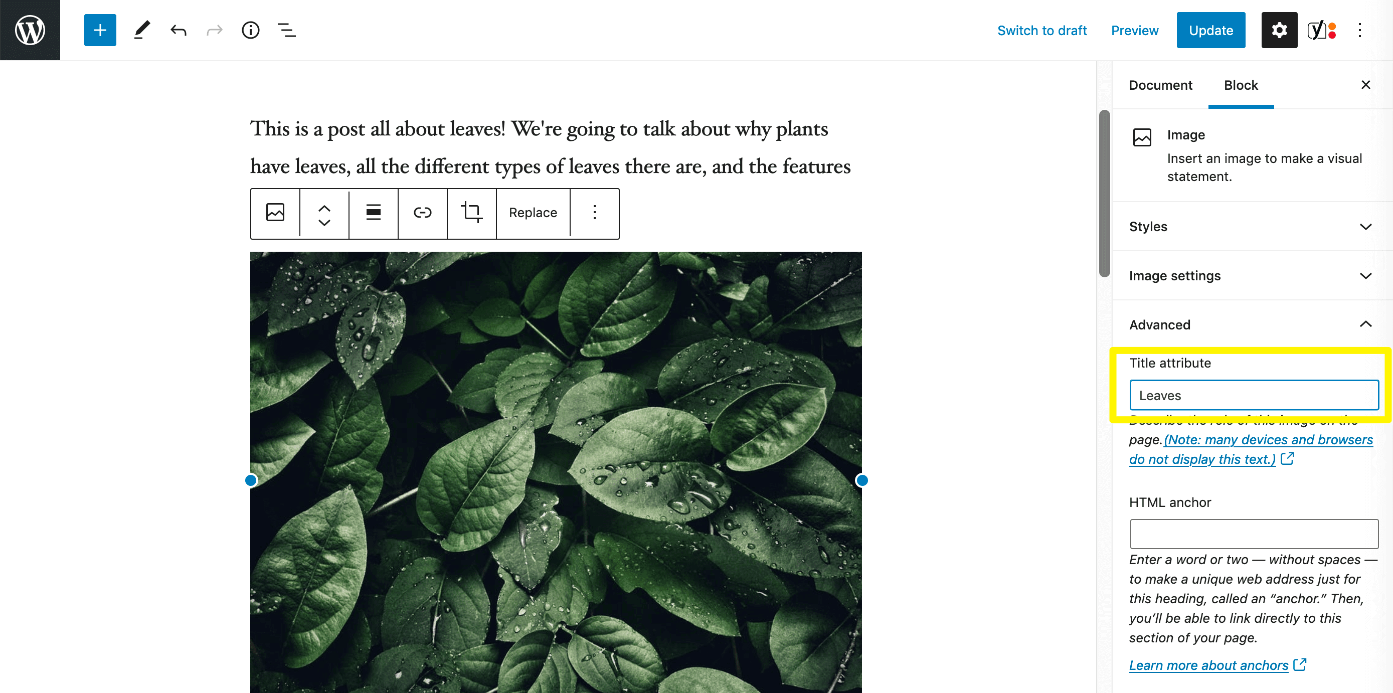 Adding an image title attribute in the Block Editor.