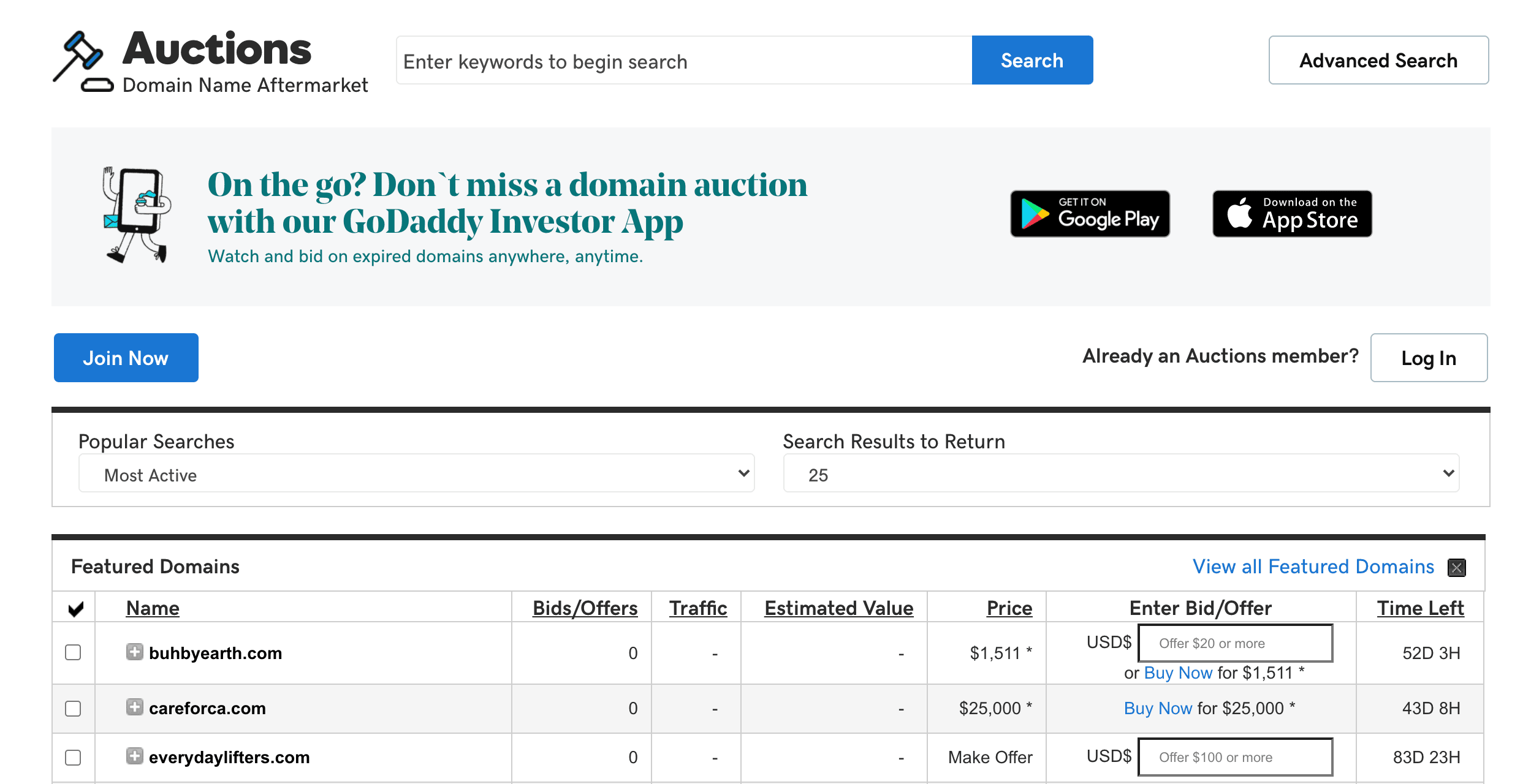 The GoDaddy domain name auction page.