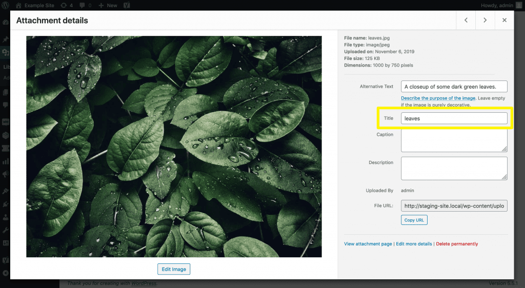 Understanding the Image Title Attribute