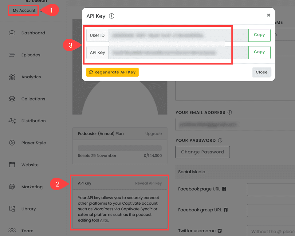 sync plugin set up