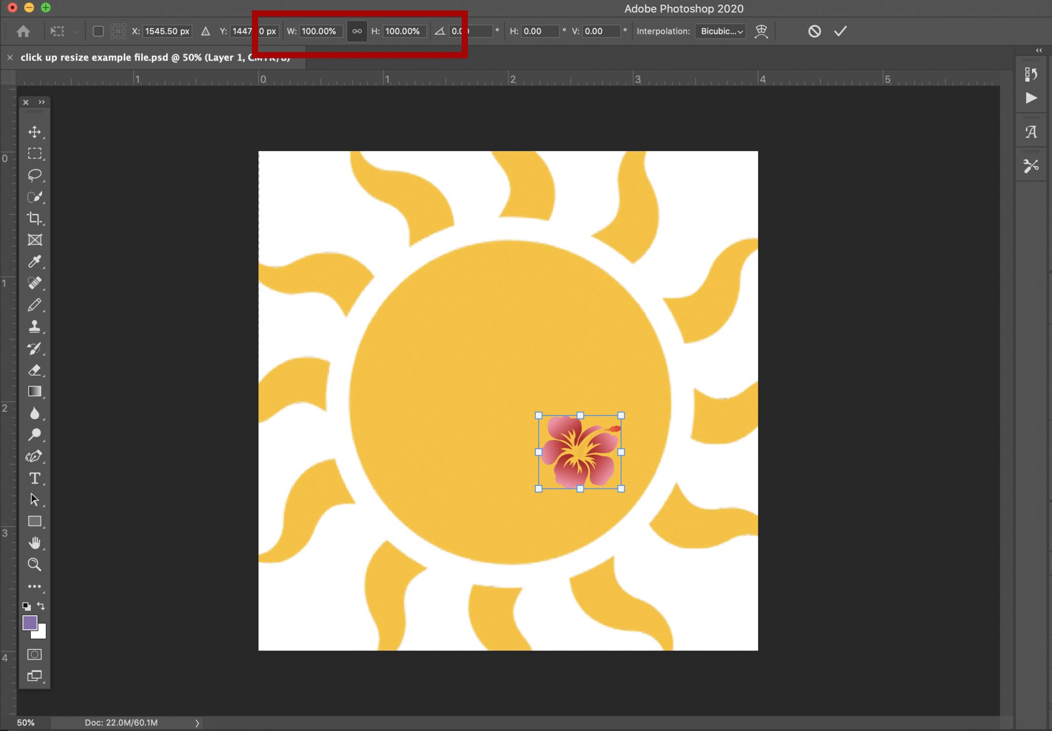 how-to-scale-transform-and-resize-an-object-in-photoshop