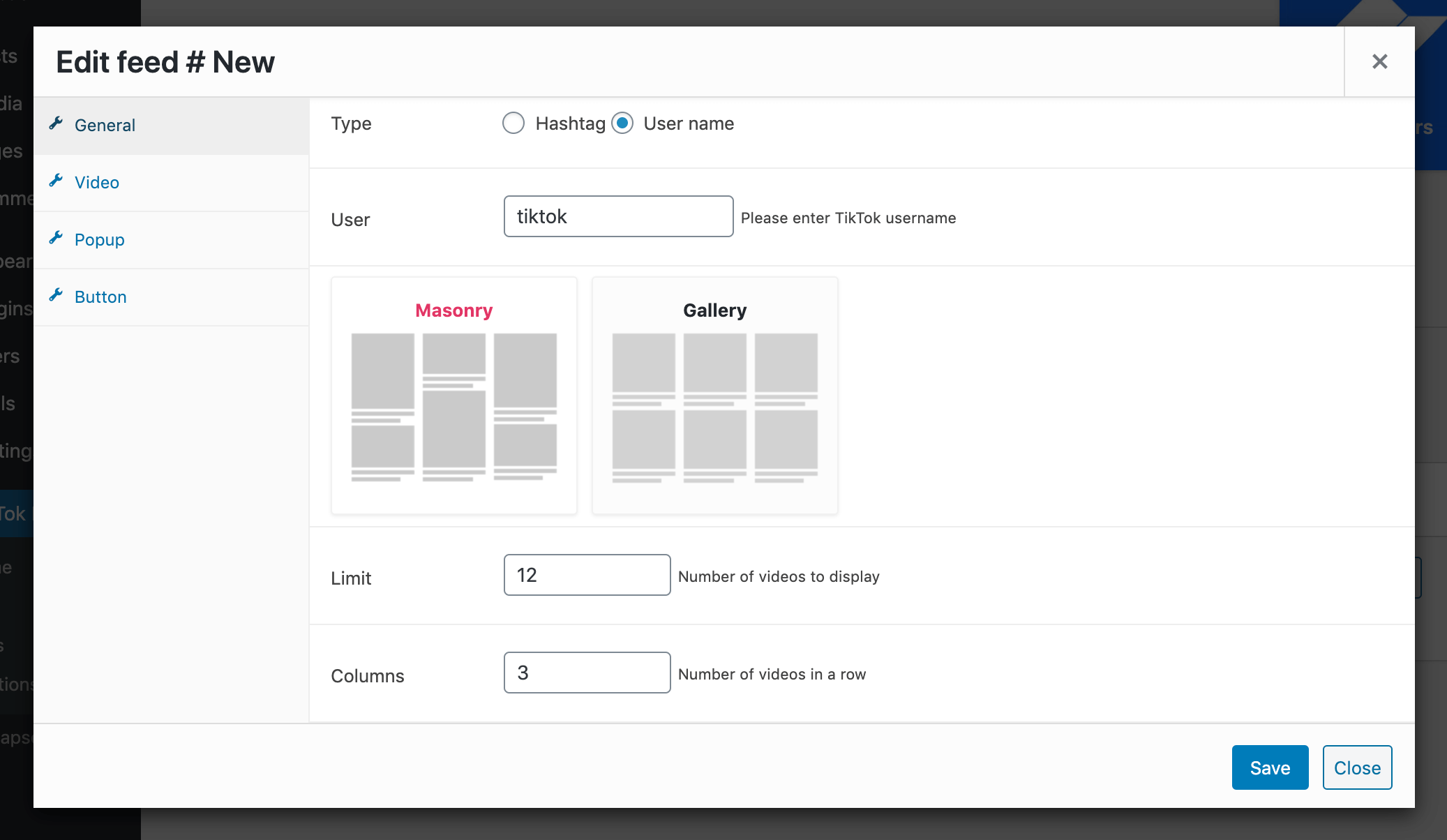 The TikTok Feed options.