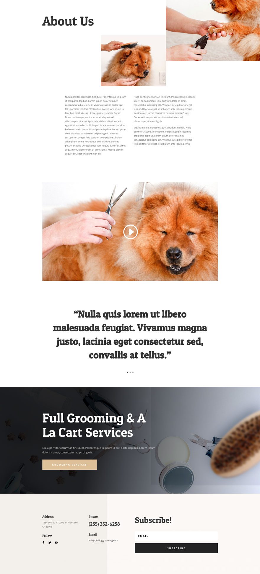 dog grooming website