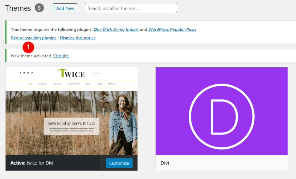 Installing Twice Divi Child Theme