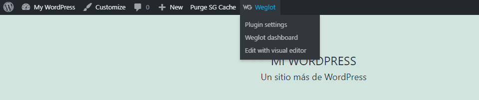 Accessing Weglot's visual editor