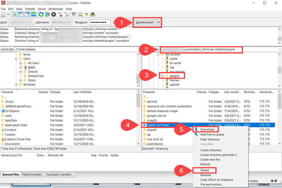 manually update the plugin