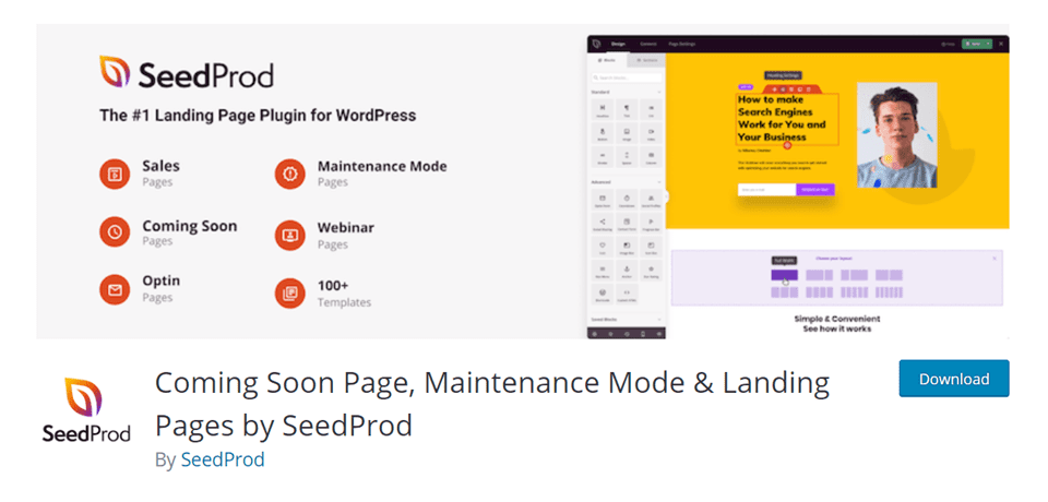 seedprod 404 pages 