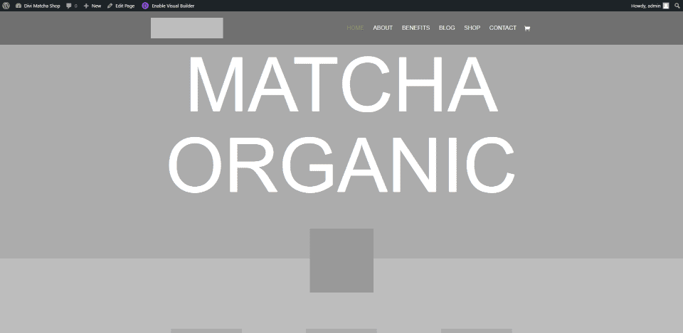 Divi Matcha Shop Child Theme Pages