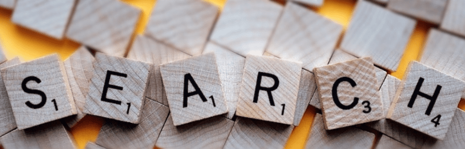 10 Best WordPress Search Plugins | Elegant Themes Blog