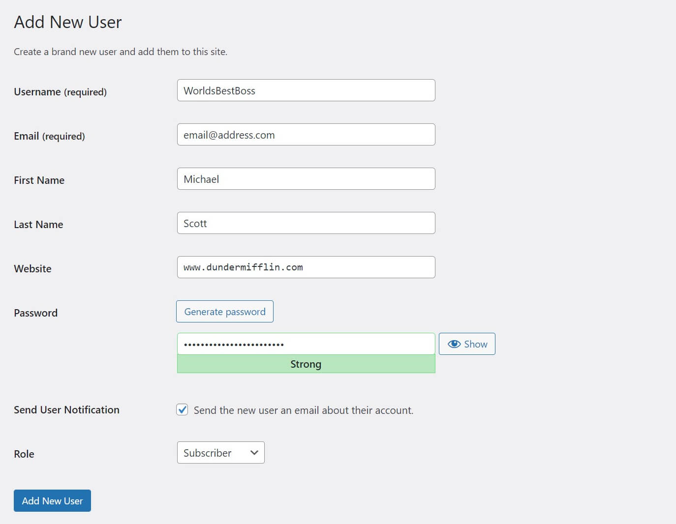 The completed new user form in WordPress.