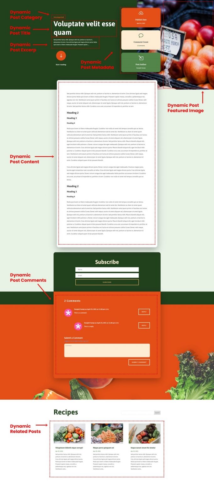 Download a FREE Blog Post Template for Divi's Produce Box Layout Pack