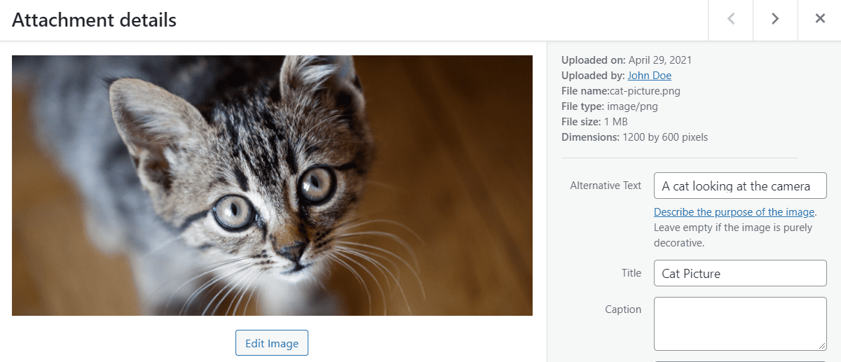 Adding a cat picture to WordPress