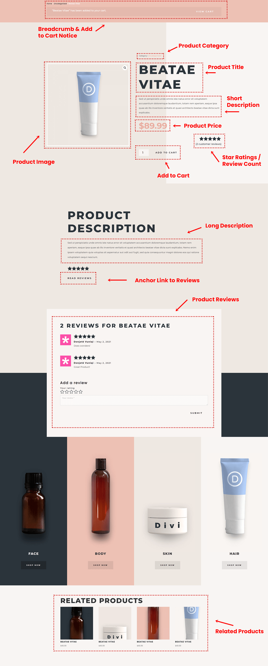 Download a FREE Product Page Template for Divi’s Beauty Product Layout
