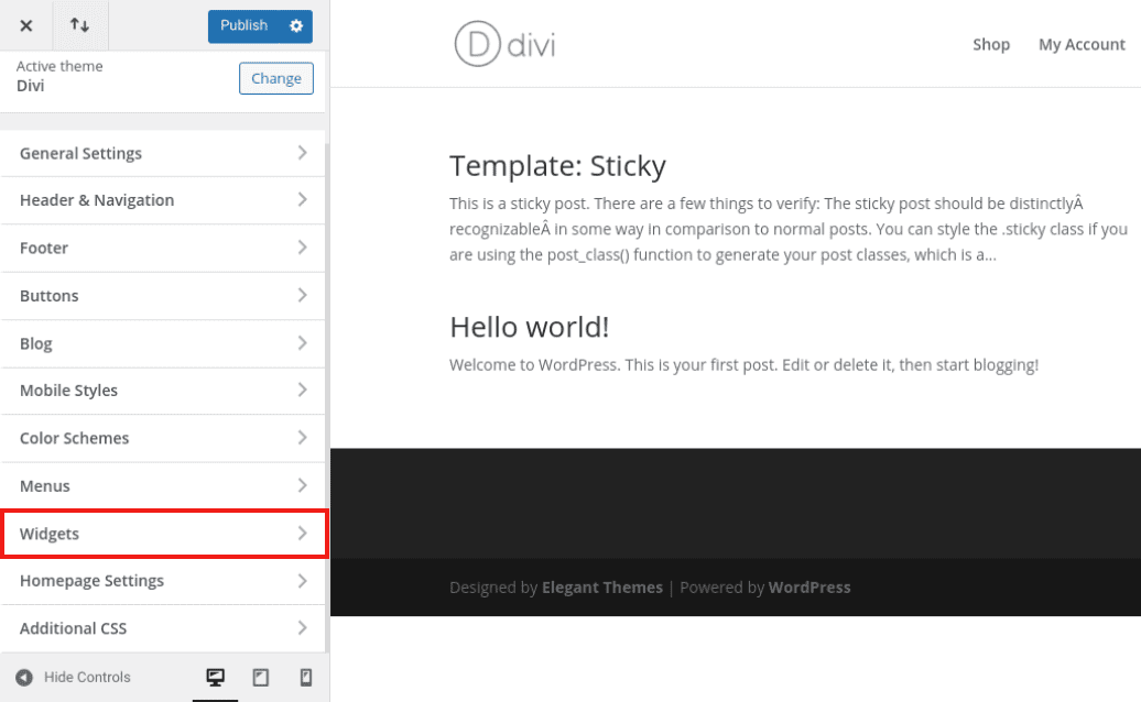 The 'Widgets' section of the Divi Theme Customizer.