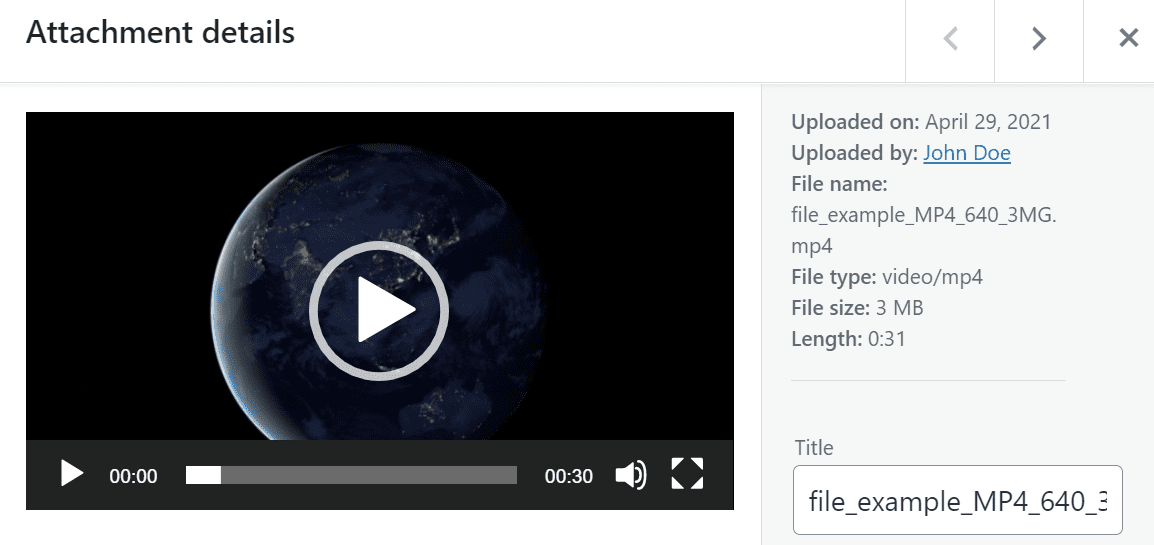 A video's attachment details window in WordPress