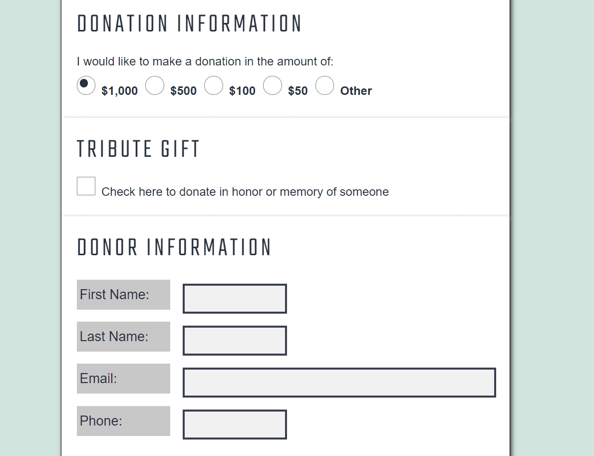 An example of a donation form